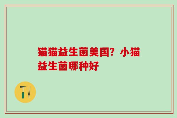 猫猫益生菌美国？小猫益生菌哪种好