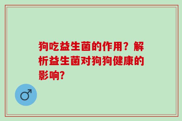 狗吃益生菌的作用？解析益生菌对狗狗健康的影响？