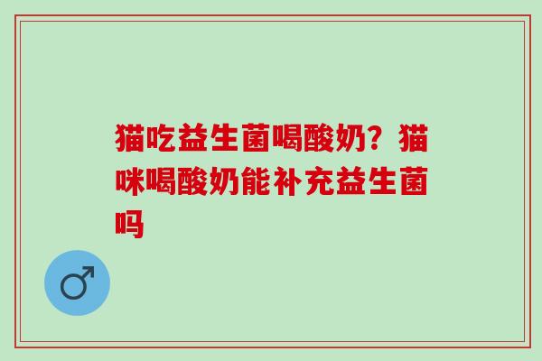 猫吃益生菌喝酸奶？猫咪喝酸奶能补充益生菌吗