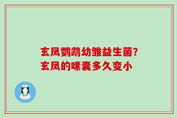 玄凤鹦鹉幼雏益生菌？玄凤的嗉囊多久变小