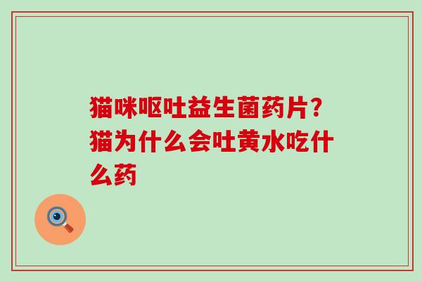 猫咪益生菌药片？猫为什么会吐黄水吃什么药