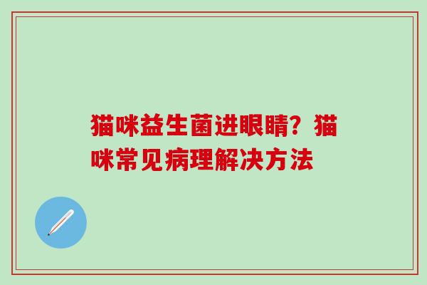 猫咪益生菌进眼睛？猫咪常见理解决方法