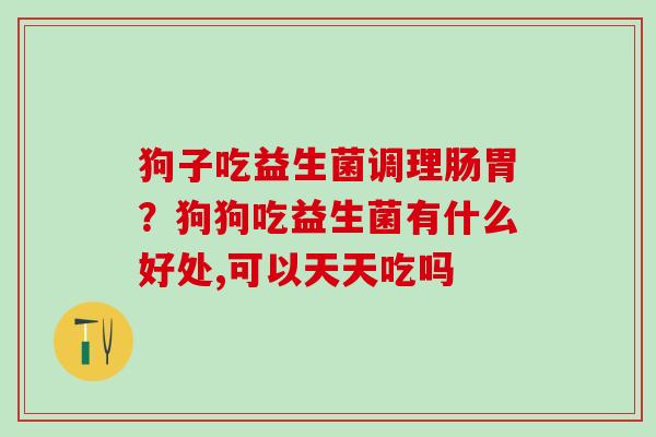 狗子吃益生菌调理肠胃？狗狗吃益生菌有什么好处,可以天天吃吗