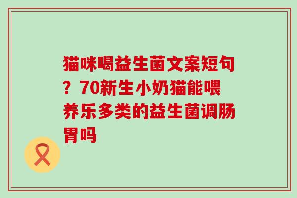 猫咪喝益生菌文案短句？70新生小奶猫能喂养乐多类的益生菌调肠胃吗
