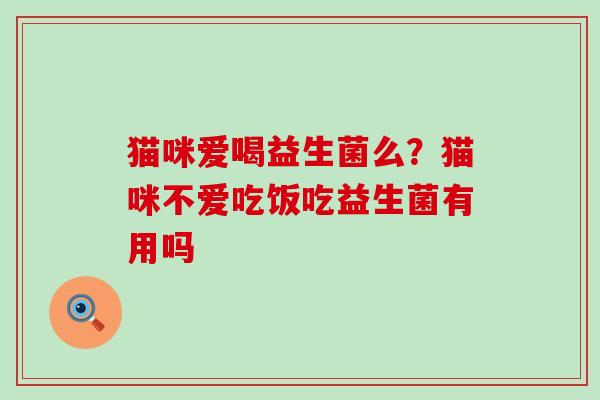 猫咪爱喝益生菌么？猫咪不爱吃饭吃益生菌有用吗