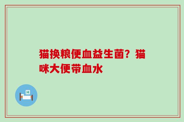 猫换粮便益生菌？猫咪大便带水