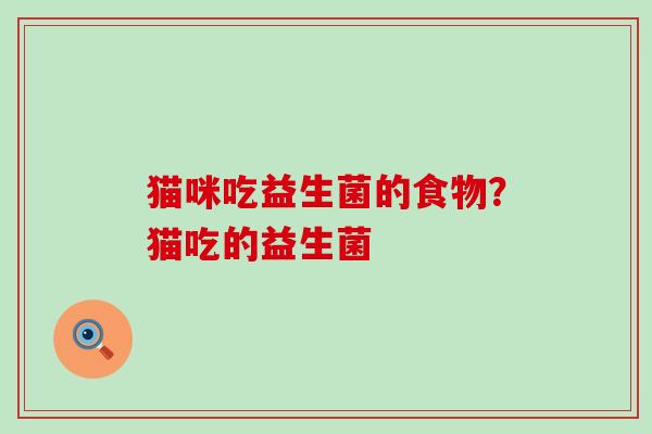 猫咪吃益生菌的食物？猫吃的益生菌