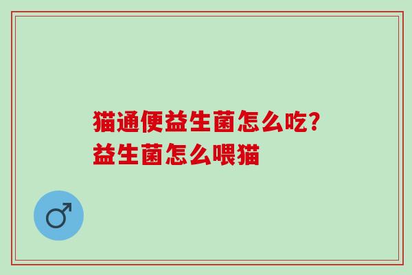 猫通便益生菌怎么吃？益生菌怎么喂猫