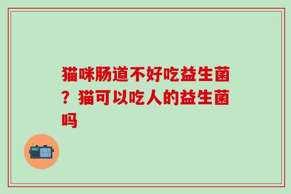 猫咪肠道不好吃益生菌？猫可以吃人的益生菌吗