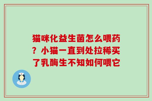 猫咪化益生菌怎么喂药？小猫一直到处拉稀买了乳酶生不知如何喂它