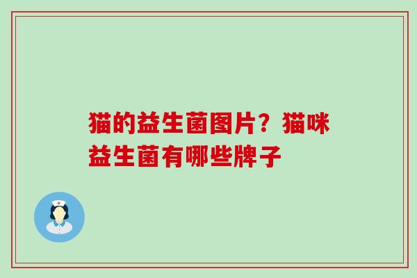 猫的益生菌图片？猫咪益生菌有哪些牌子