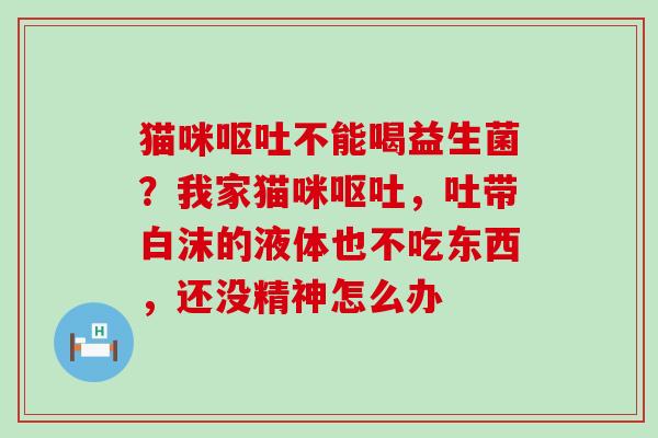 猫咪不能喝益生菌？我家猫咪，吐带白沫的液体也不吃东西，还没精神怎么办