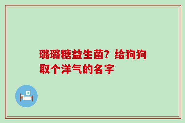 璐璐糖益生菌？给狗狗取个洋气的名字