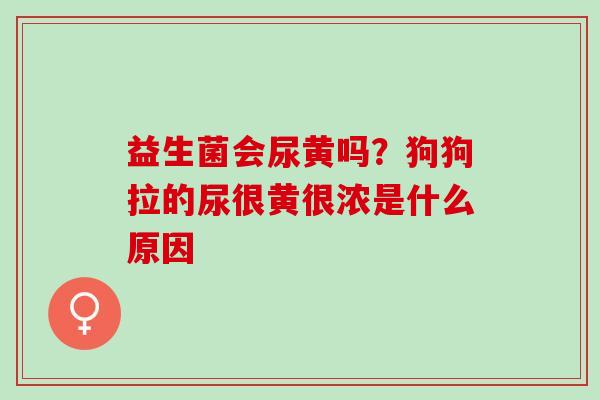 益生菌会尿黄吗？狗狗拉的尿很黄很浓是什么原因