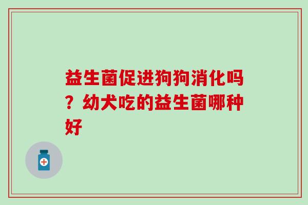益生菌促进狗狗消化吗？幼犬吃的益生菌哪种好