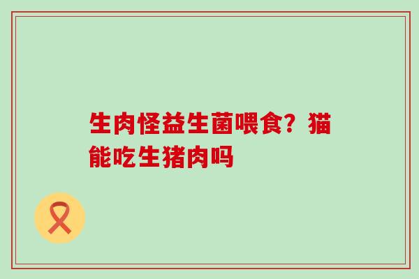 生肉怪益生菌喂食？猫能吃生猪肉吗