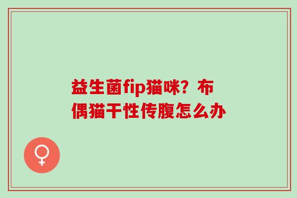 益生菌fip猫咪？布偶猫干性传腹怎么办