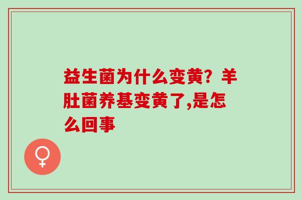 益生菌为什么变黄？羊肚菌养基变黄了,是怎么回事
