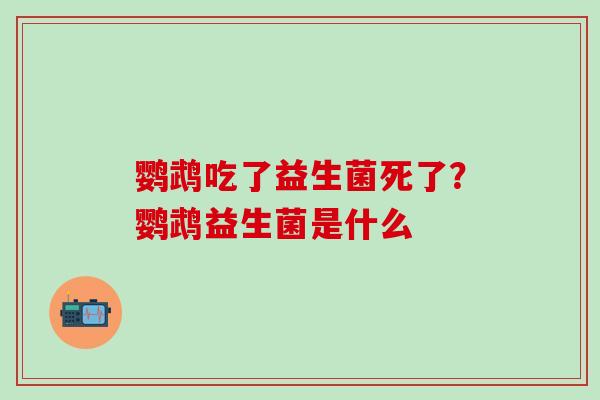 鹦鹉吃了益生菌死了？鹦鹉益生菌是什么