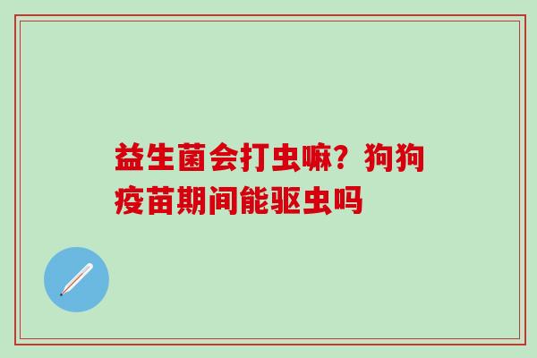 益生菌会打虫嘛？狗狗疫苗期间能驱虫吗