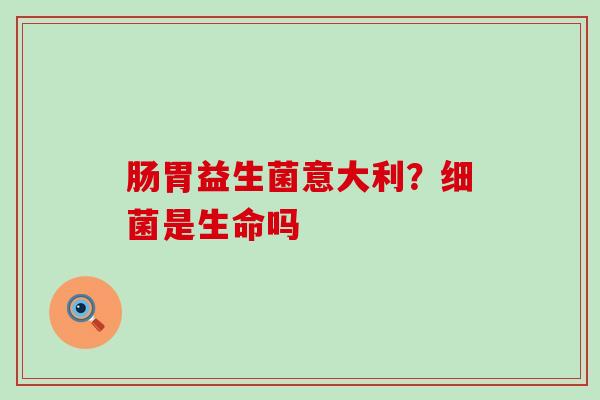 肠胃益生菌意大利？是生命吗