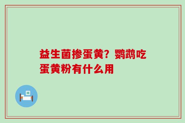 益生菌掺蛋黄？鹦鹉吃蛋黄粉有什么用