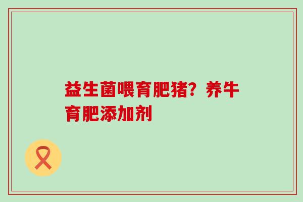 益生菌喂育肥猪？养牛育肥添加剂