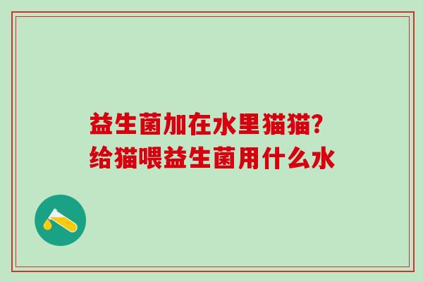 益生菌加在水里猫猫？给猫喂益生菌用什么水