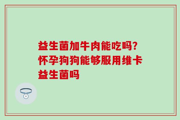 益生菌加牛肉能吃吗？怀孕狗狗能够服用维卡益生菌吗