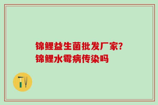 锦鲤益生菌批发厂家？锦鲤水霉传染吗