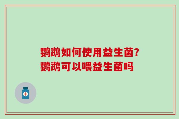 鹦鹉如何使用益生菌？鹦鹉可以喂益生菌吗