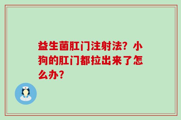 益生菌肛门注射法？小狗的肛门都拉出来了怎么办？