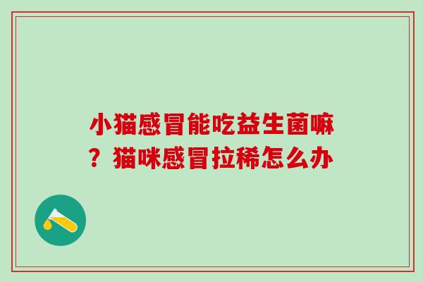小猫能吃益生菌嘛？猫咪拉稀怎么办