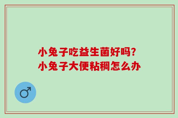 小兔子吃益生菌好吗？小兔子大便粘稠怎么办