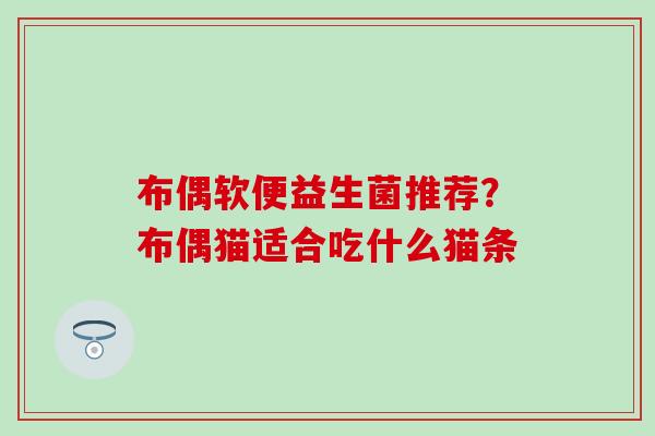 布偶软便益生菌推荐？布偶猫适合吃什么猫条