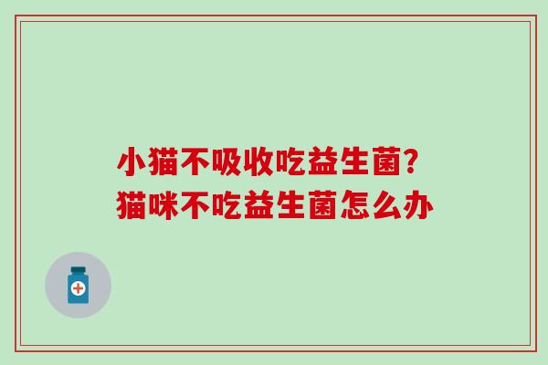 小猫不吸收吃益生菌？猫咪不吃益生菌怎么办