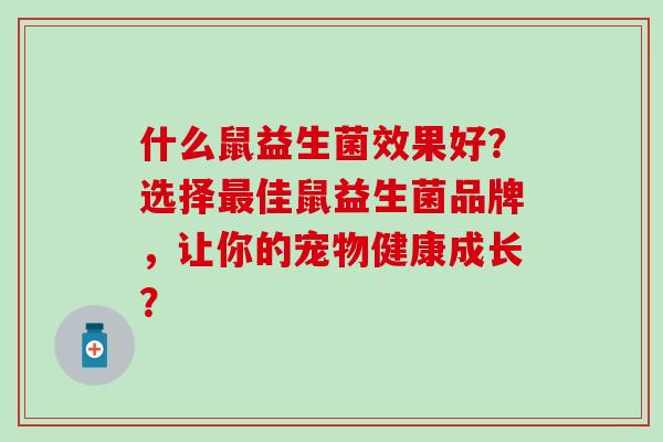 什么鼠益生菌效果好？选择佳鼠益生菌品牌，让你的宠物健康成长？