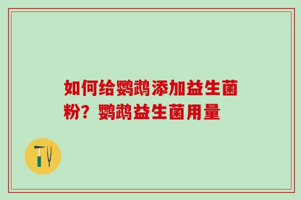 如何给鹦鹉添加益生菌粉？鹦鹉益生菌用量