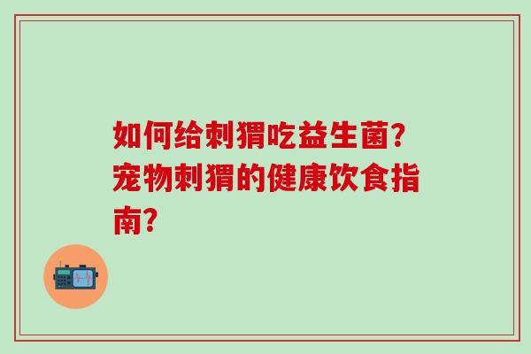如何给刺猬吃益生菌？宠物刺猬的健康饮食指南？