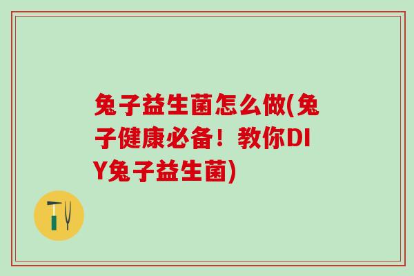 兔子益生菌怎么做(兔子健康必备！教你DIY兔子益生菌)