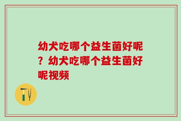 幼犬吃哪个益生菌好呢？幼犬吃哪个益生菌好呢视频