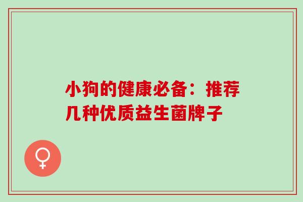 小狗的健康必备：推荐几种优质益生菌牌子