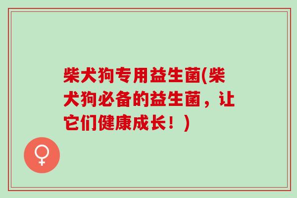 柴犬狗专用益生菌(柴犬狗必备的益生菌，让它们健康成长！)