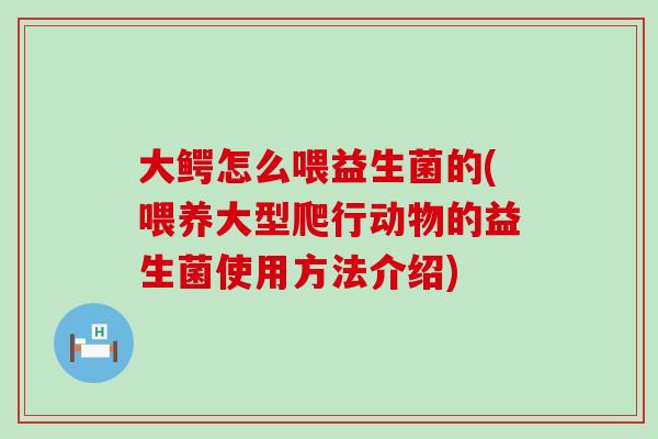 大鳄怎么喂益生菌的(喂养大型爬行动物的益生菌使用方法介绍)