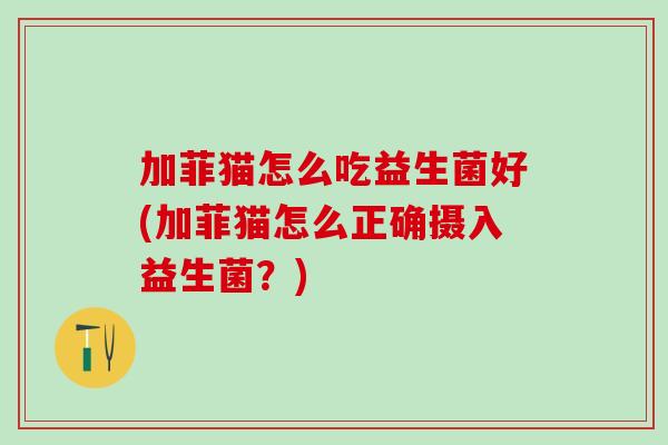 加菲猫怎么吃益生菌好(加菲猫怎么正确摄入益生菌？)