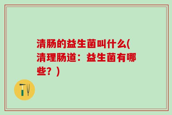 清肠的益生菌叫什么(清理肠道：益生菌有哪些？)