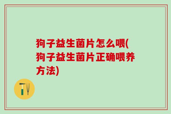 狗子益生菌片怎么喂(狗子益生菌片正确喂养方法)