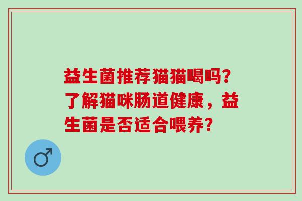 益生菌推荐猫猫喝吗？了解猫咪肠道健康，益生菌是否适合喂养？