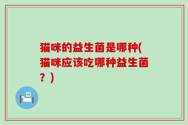 猫咪的益生菌是哪种(猫咪应该吃哪种益生菌？)