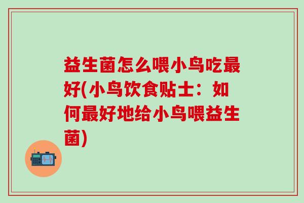 益生菌怎么喂小鸟吃好(小鸟饮食贴士：如何好地给小鸟喂益生菌)